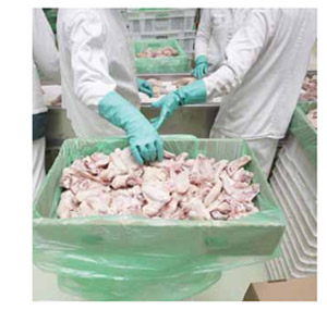Image of workers sorting chicken parts.